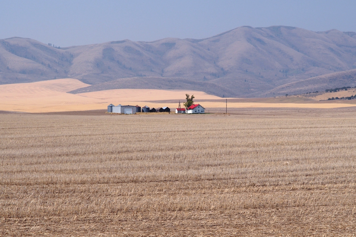 ShepFoto Arbon Valley, Idaho