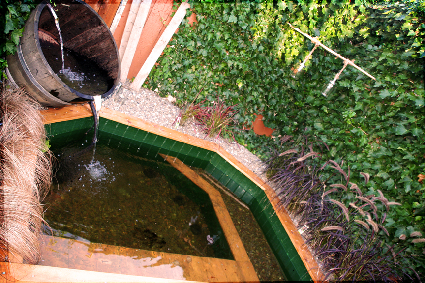 Thomas Unblocked Wooden Pond