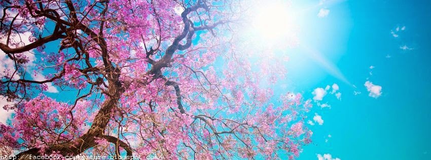 Mediarevolution Amat Couverture Facebook Paysage De Printemps