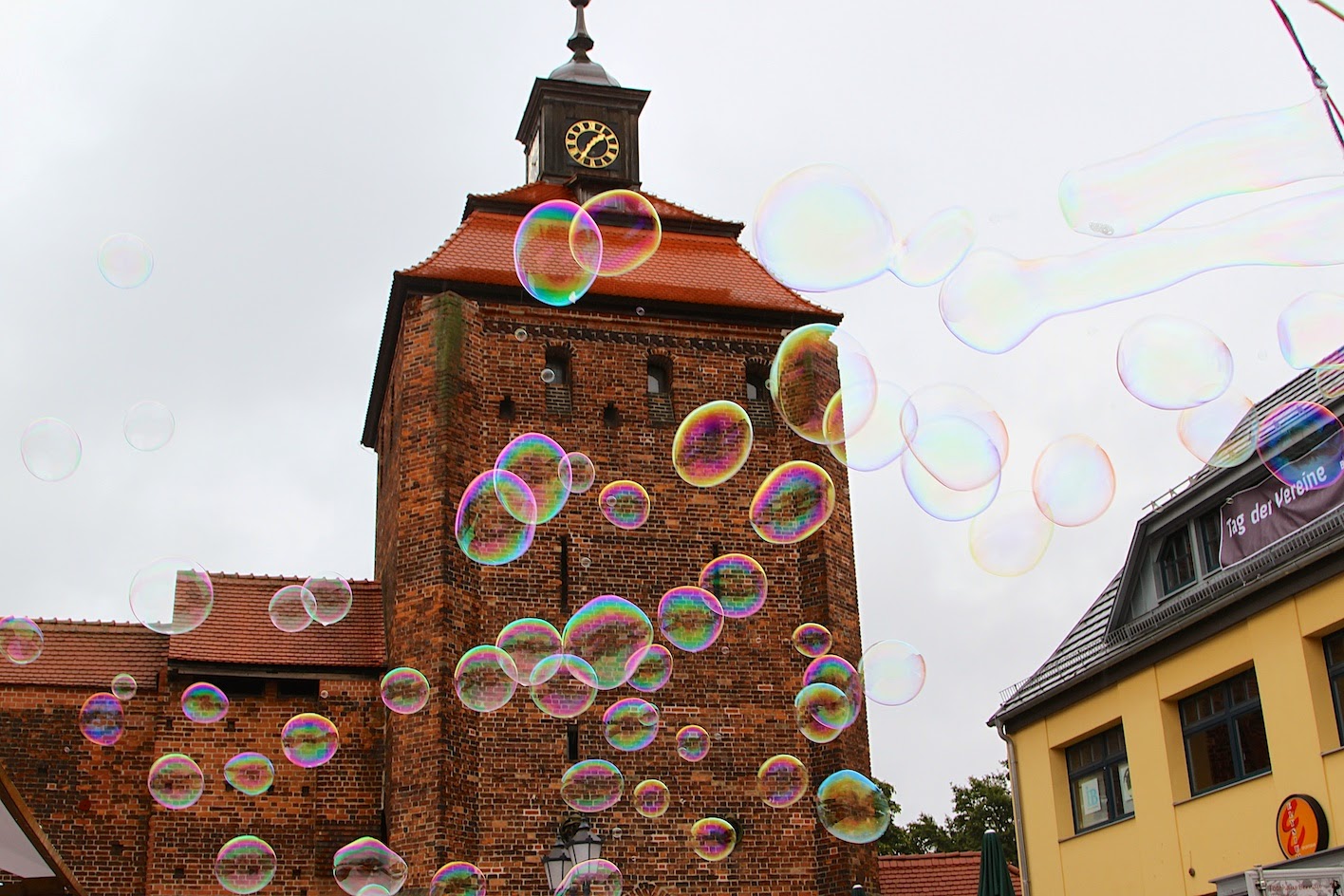 Und dann kam doch noch Sonne - Alle Bilder zum "Tag der Vereine" in Bernau - 38 Bernau LIVE - Dein Stadtmagazin für Bernau bei Berlin