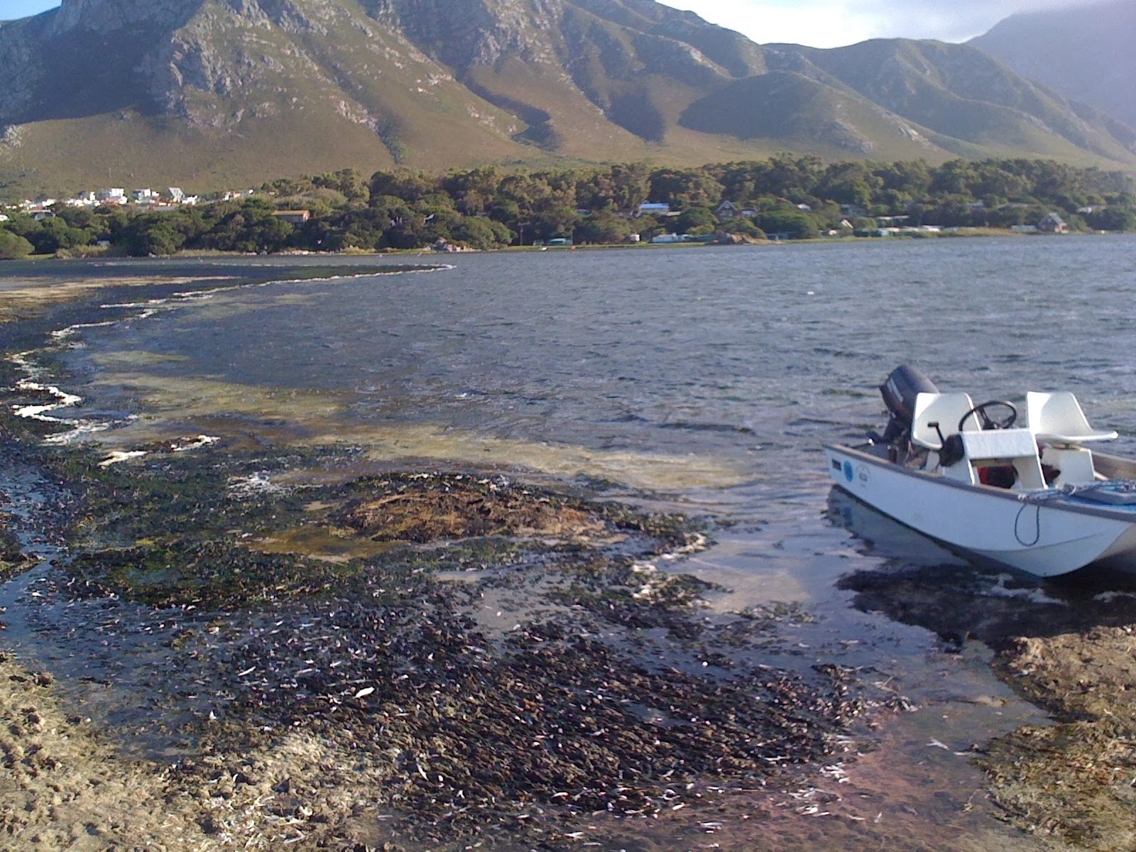 CAUSED BY UP-STREAM NUTRIENT RUN-OFF