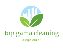 top gama cleaning