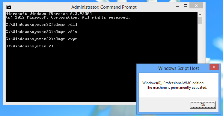 Microsoft Genuine Advantage Validation V5