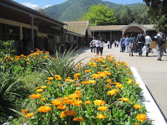 MI COLEGIO EN PRIMAVERA