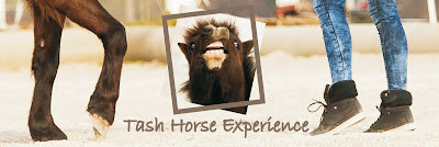 Tash Horse Experience