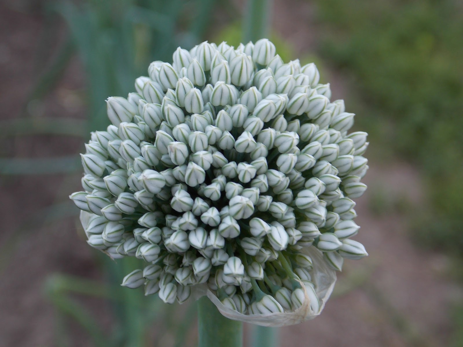 comment avoir la meilleure cote r