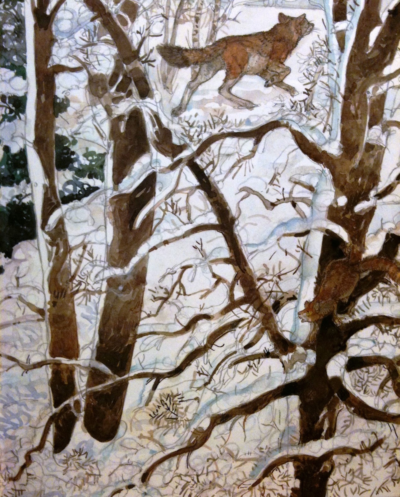 Сказочные Иллюстрации Jerry Pinkney Красная Шапочка*