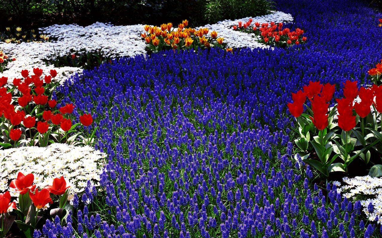 http://2.bp.blogspot.com/-GdF1EYosFsI/TntIL1JGyrI/AAAAAAAAAck/CYQpa6OBxPg/s1600/flower-background-wallpaper.jpg