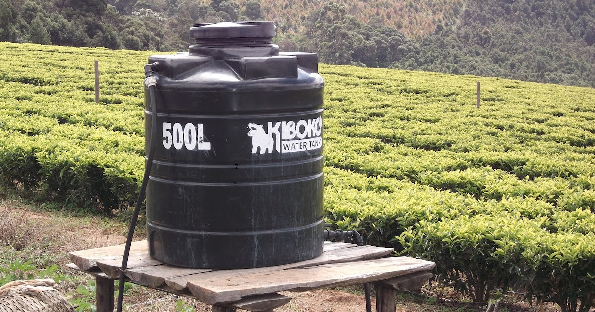 CHAI YETU DRIP IRRIGATION TECHNOLOGY IN TEA