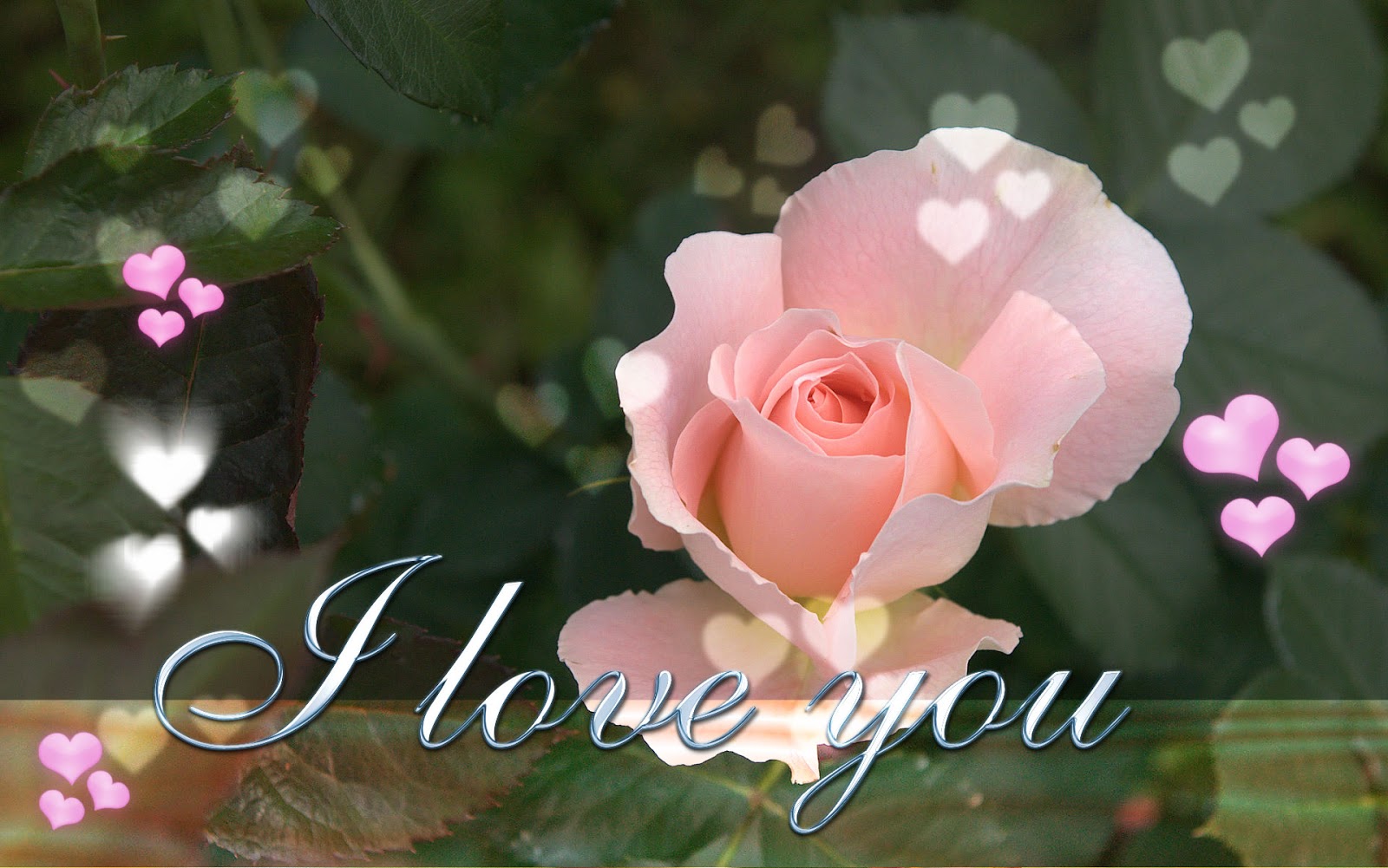 New Latest i love you wallpapers on this valentines day 2016