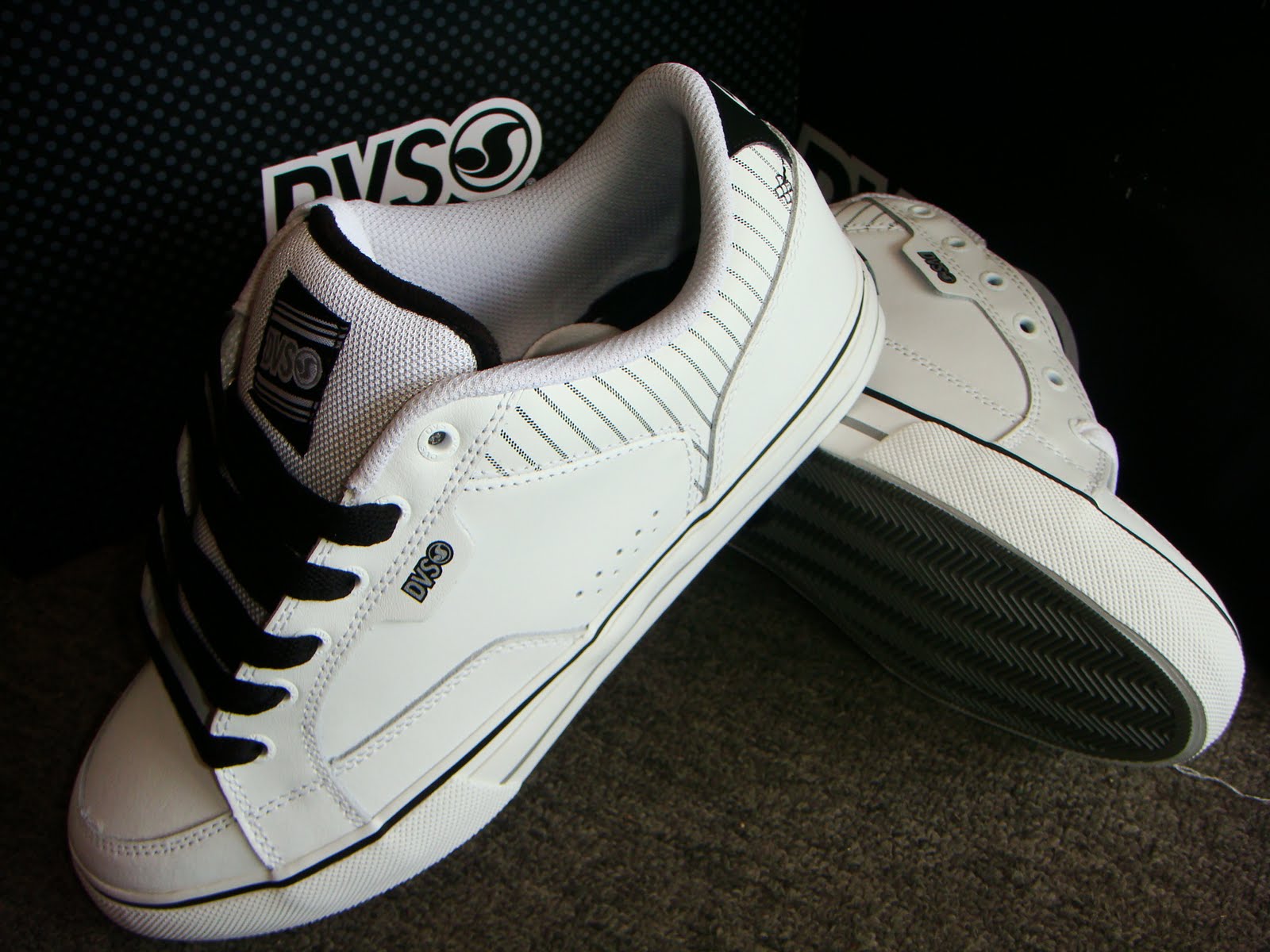 DVS Shoes