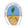 Directorate of Maize Research  at www.freenokrinews.com