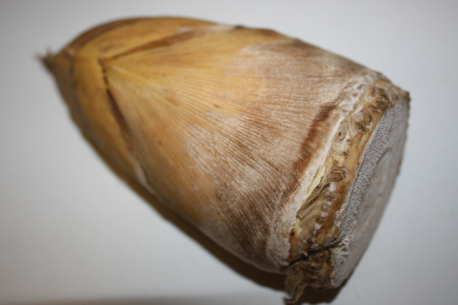 Recipes and Tips To Fight M.S. Tangy Bamboo Shoots with Rice & Peas