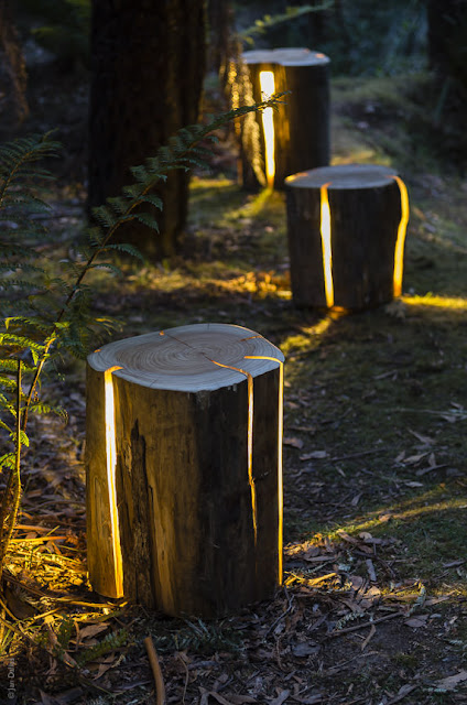 cracked log lamps 