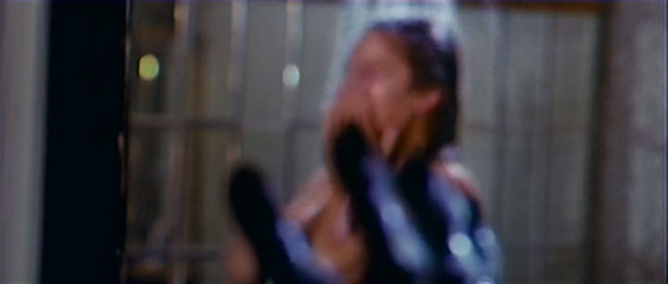 The Film Rules ZOMBIE FILM RULES