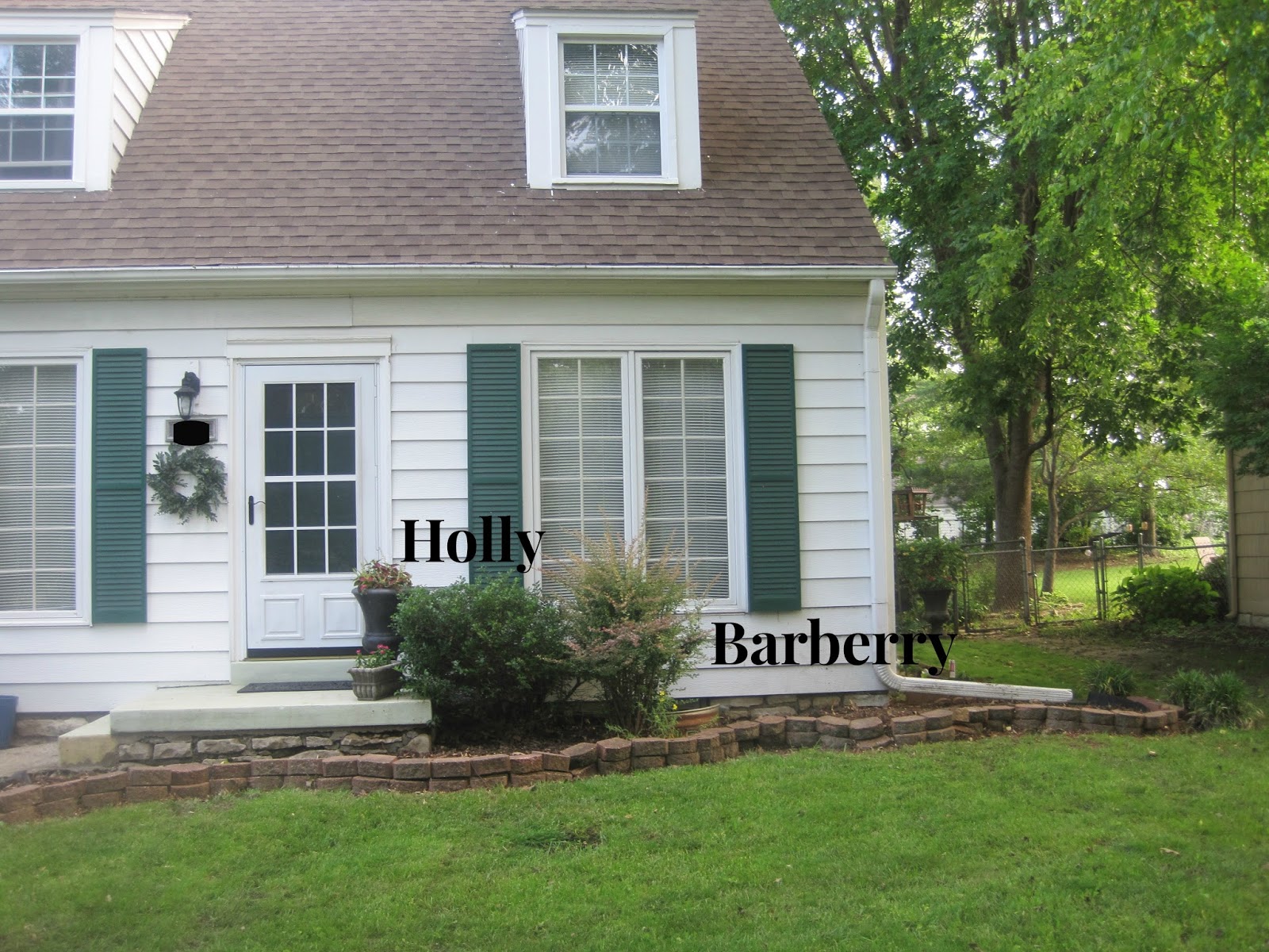 Rotary Botanical Gardens Hort Blog Panicled Hydrangeas For A