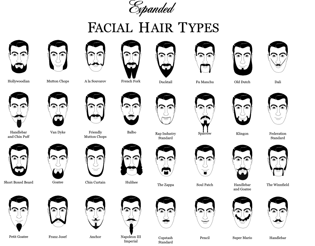 Info Lifehacks List Of Facial Hair Types