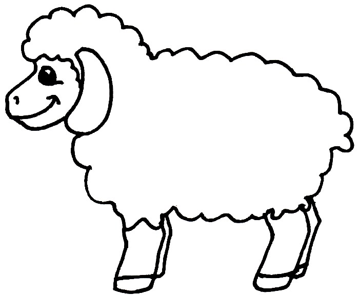 Desenho De Ovelha
