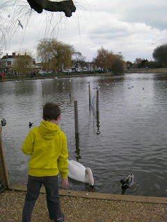 baffins pond copnor portsmouth feeding ducks