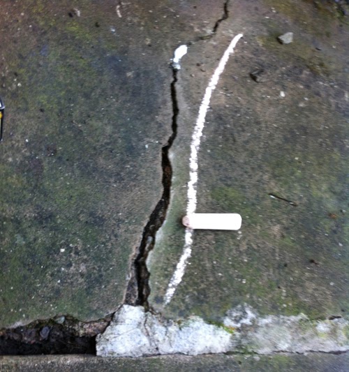 How to get rid of weeds on cement cracks