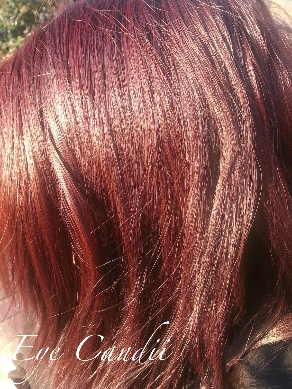 eye candii Garnier Olia Deep Red Review + Before & After...