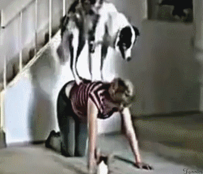 partner+excercises+with+your+dog+eight.gif