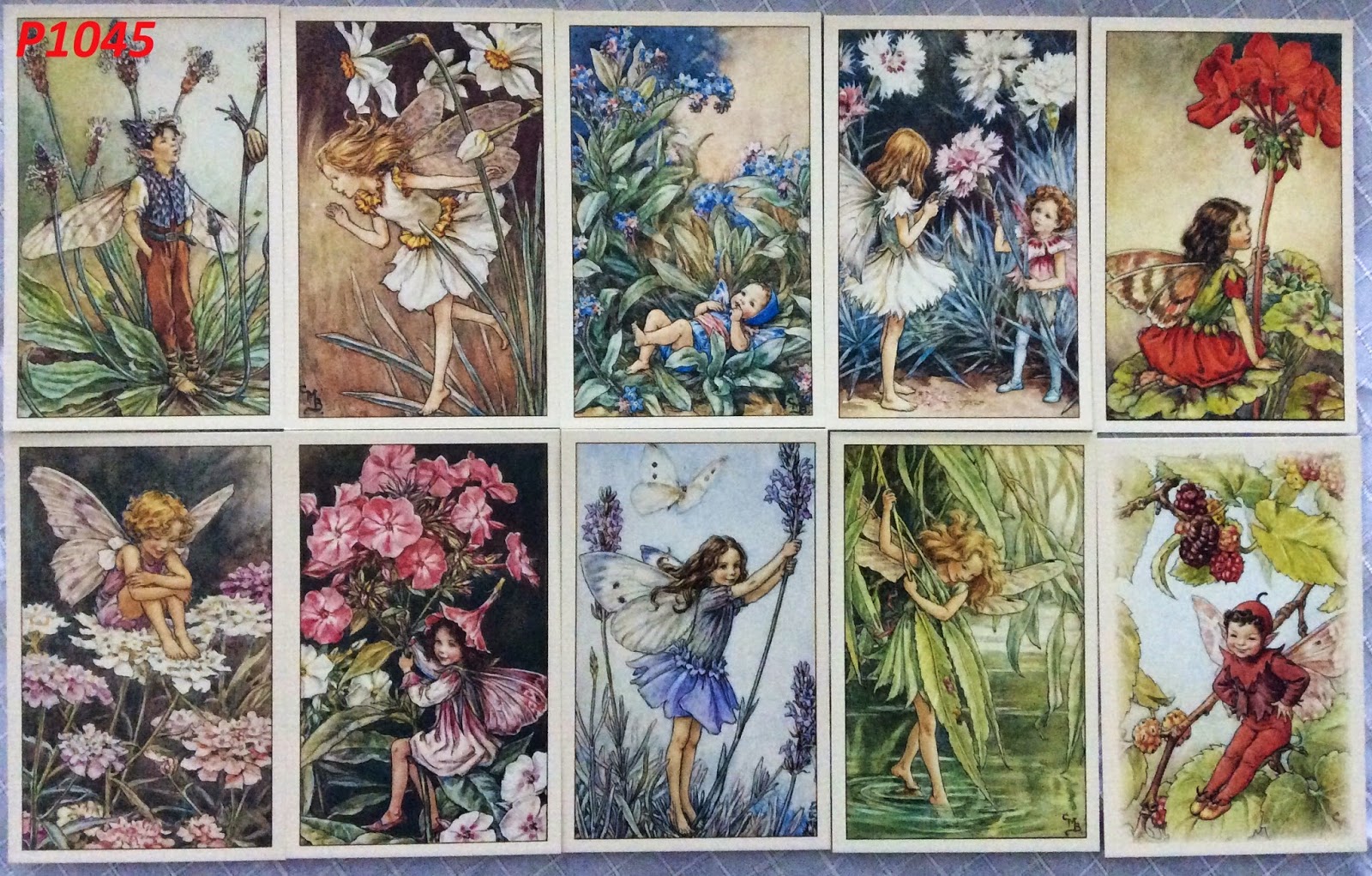 Used Books Corner Flower Fairy Postcards!