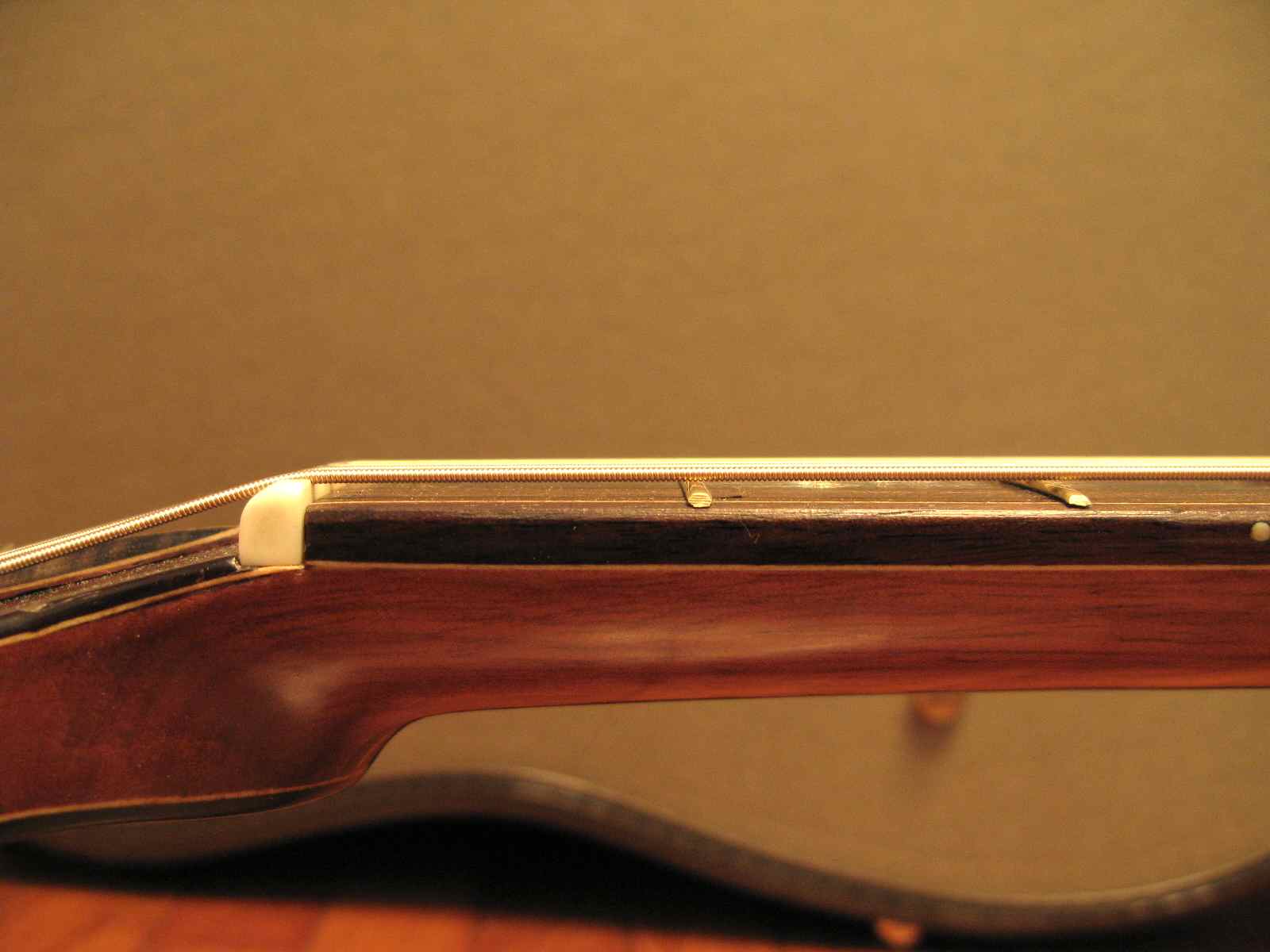 Guitaring Passionately Bite Size Tips 002 String Height Nut