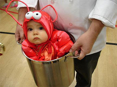 cute baby lobster in a pot costume
