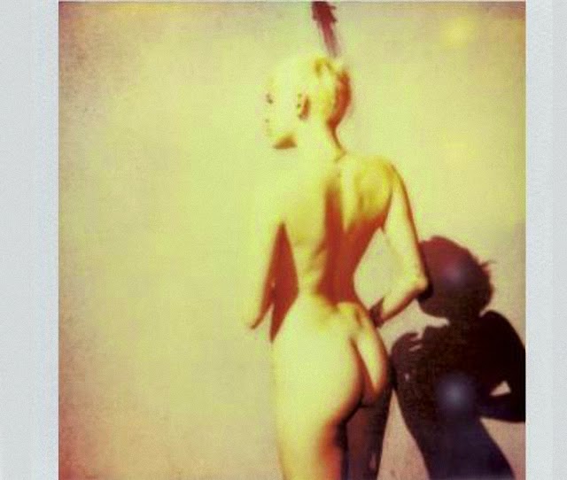 Miley Cyrus desnuda en V Magazine Miley Cyrus desnuda en V Magazine