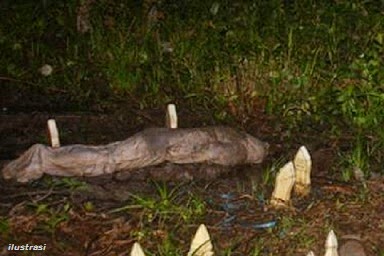 [Kisah]: Anak Durhaka Yang Langsung Diazab Semasa Masih di Dunia