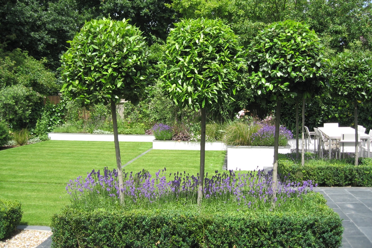 IN LOVE WITH BEAUTY: First Choice for Garden Design in London - The