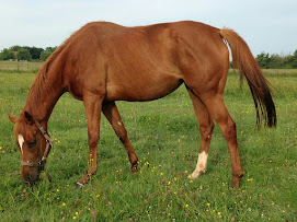 Virimoon, La reina, preñada de Air Chief Marshal