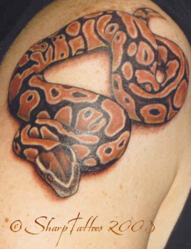 Snake Tattoo Designs Snake Tattoo Designs 4