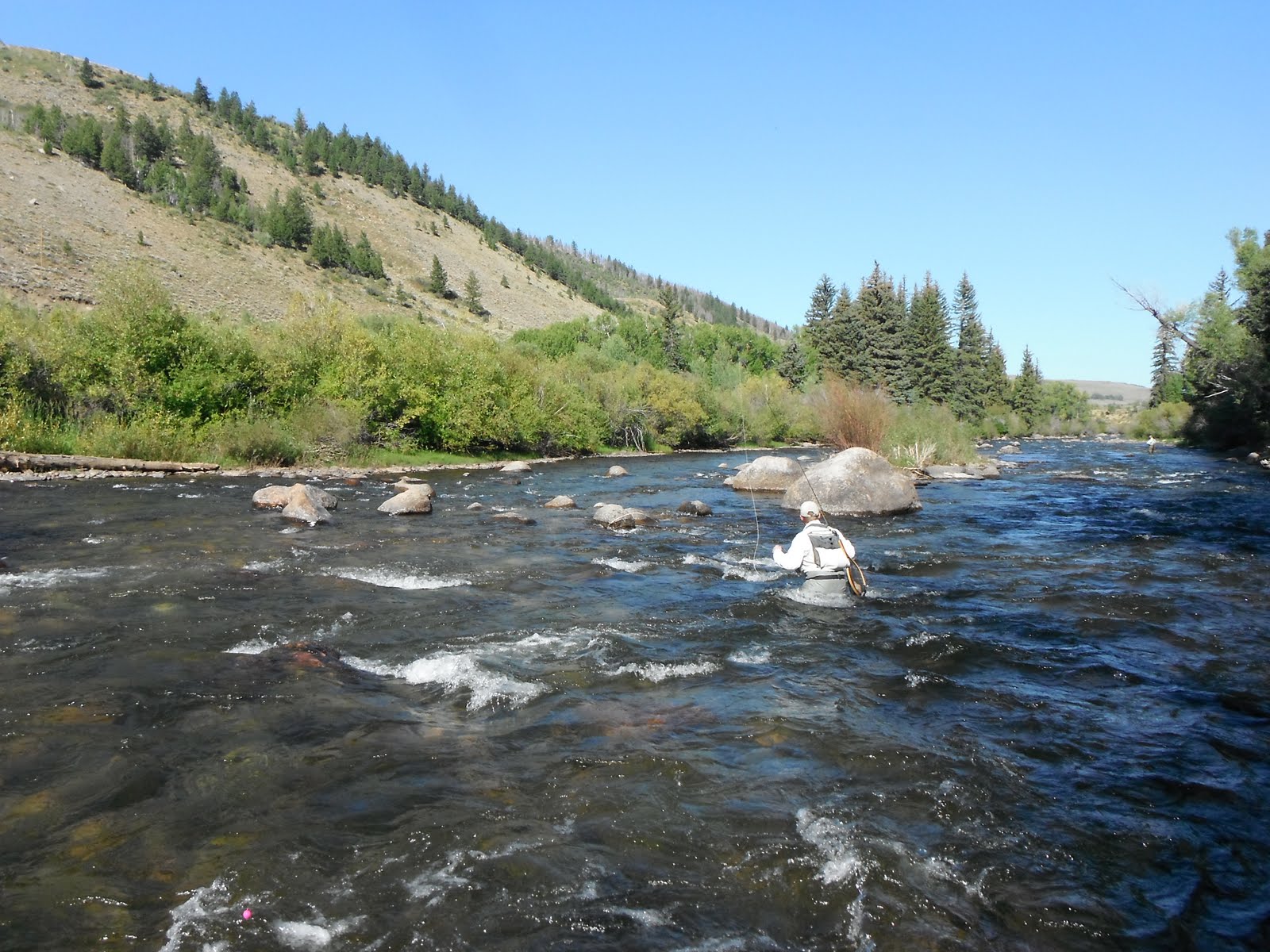 Tie and Fly Colorado Lower Blue River