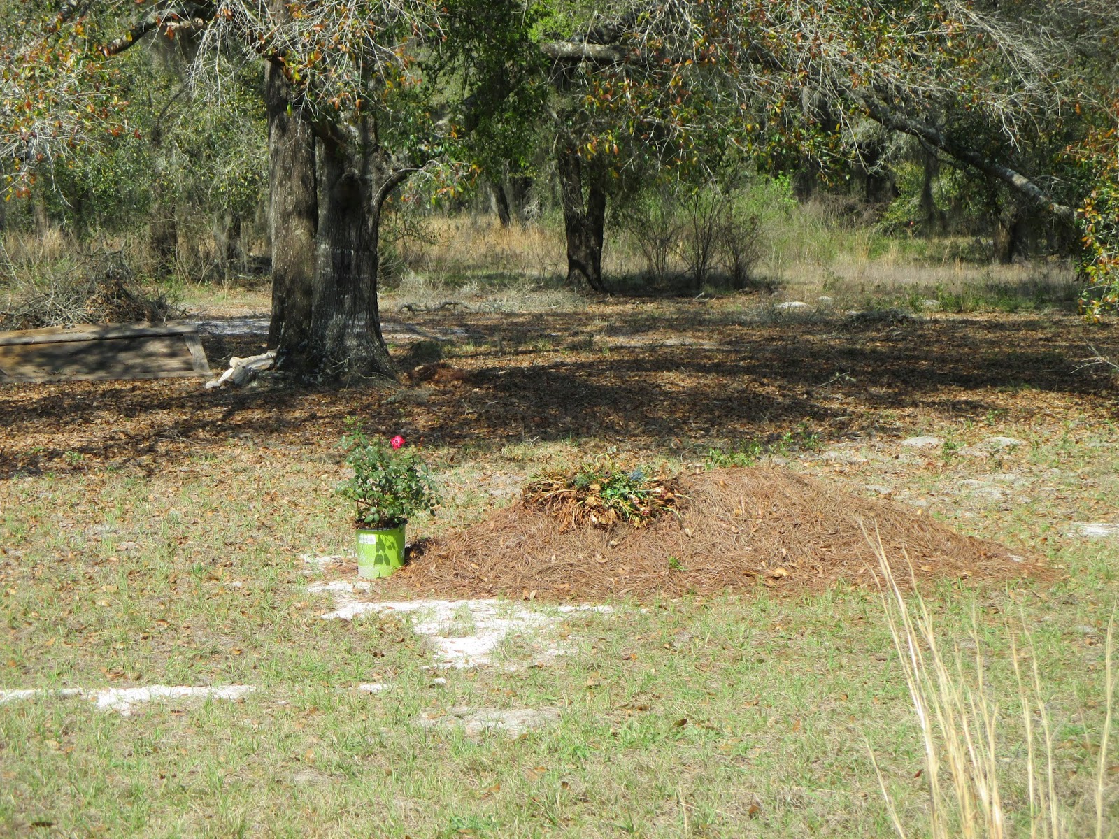 FINISHING TOUCHES CONSERVATION NATURAL BURIAL GROUNDS