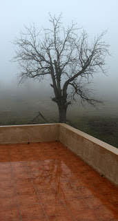The mist stayed til mid afternoon The mist stayed til mid afternoon