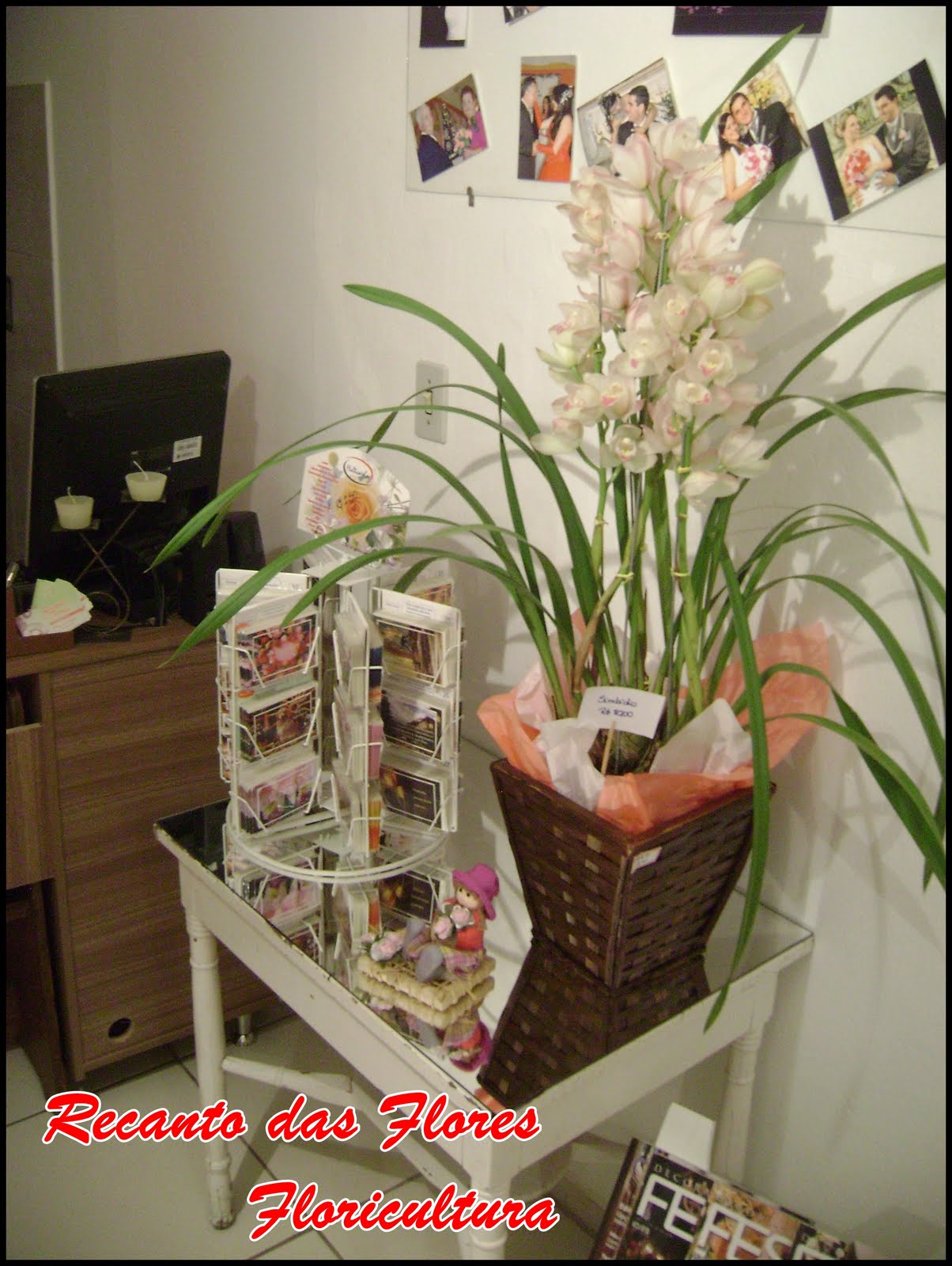 Floricultura Recanto das Flores