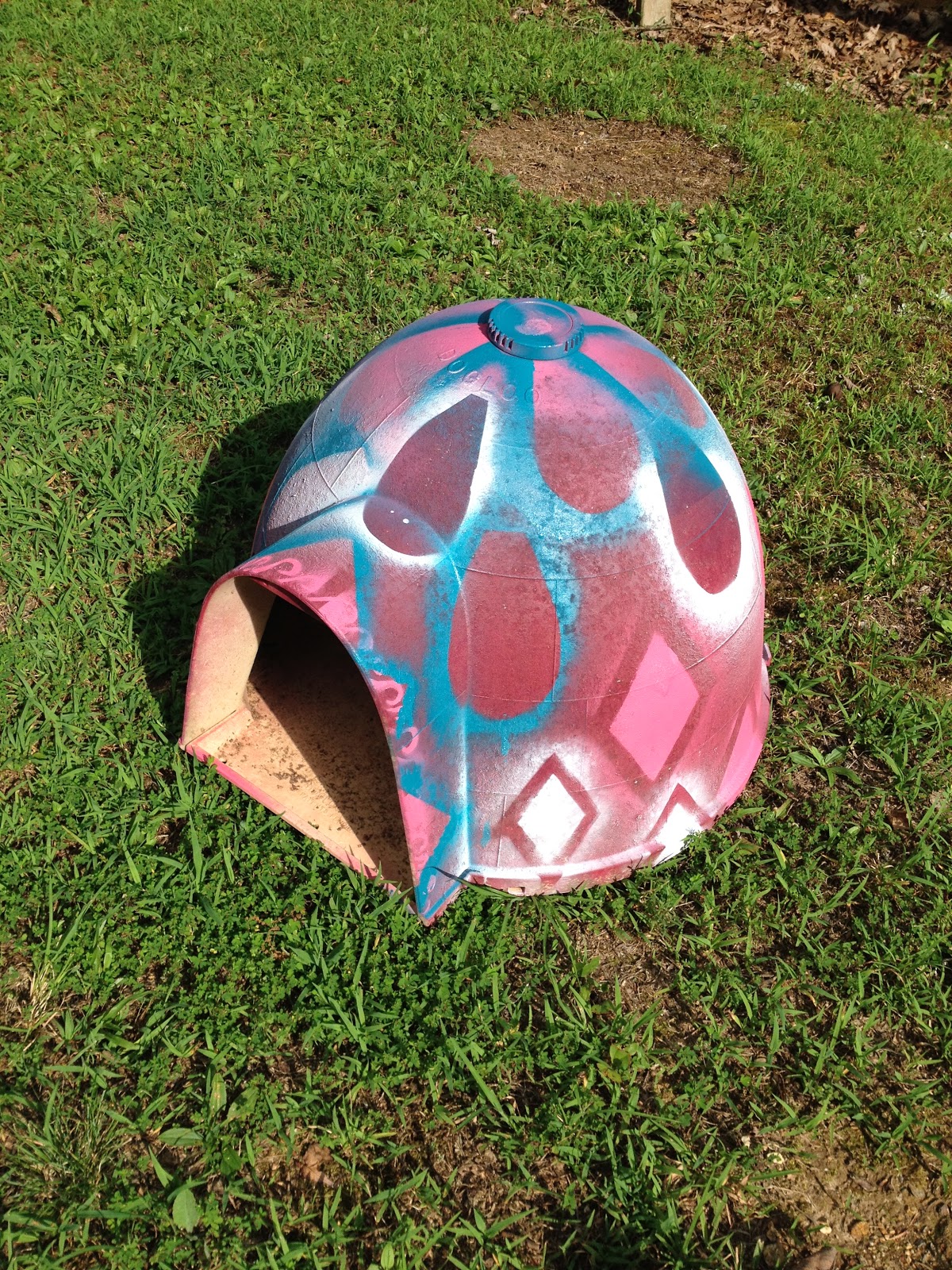 LifeLookLens DIY Doghouse Improving An Igloo