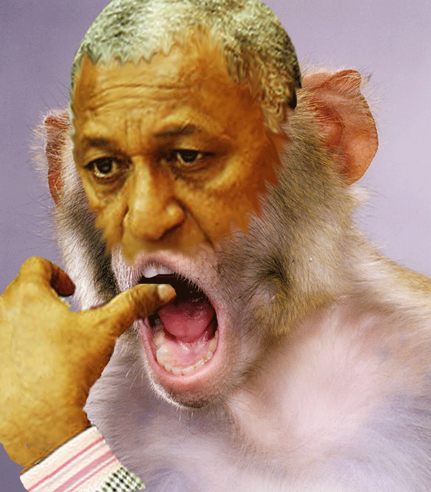 Featured image of post View 12 Discombobulated Face