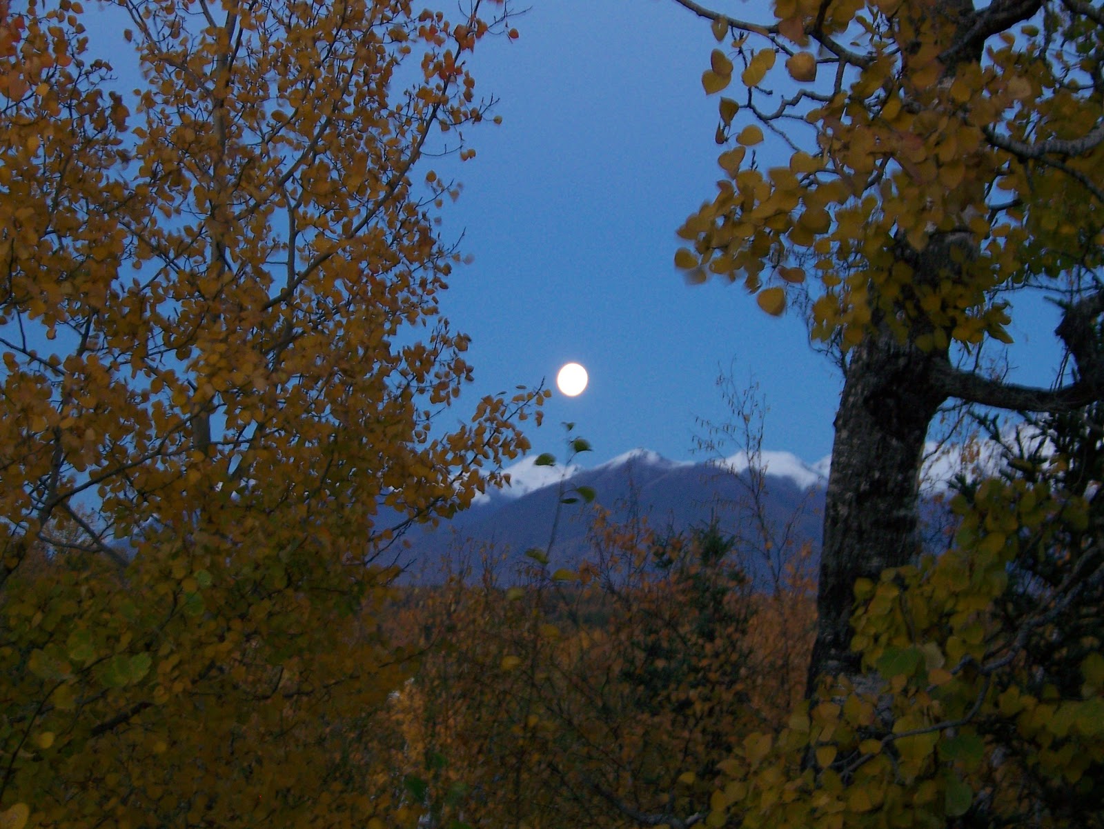 House For Sale MatSu Valley Alaska