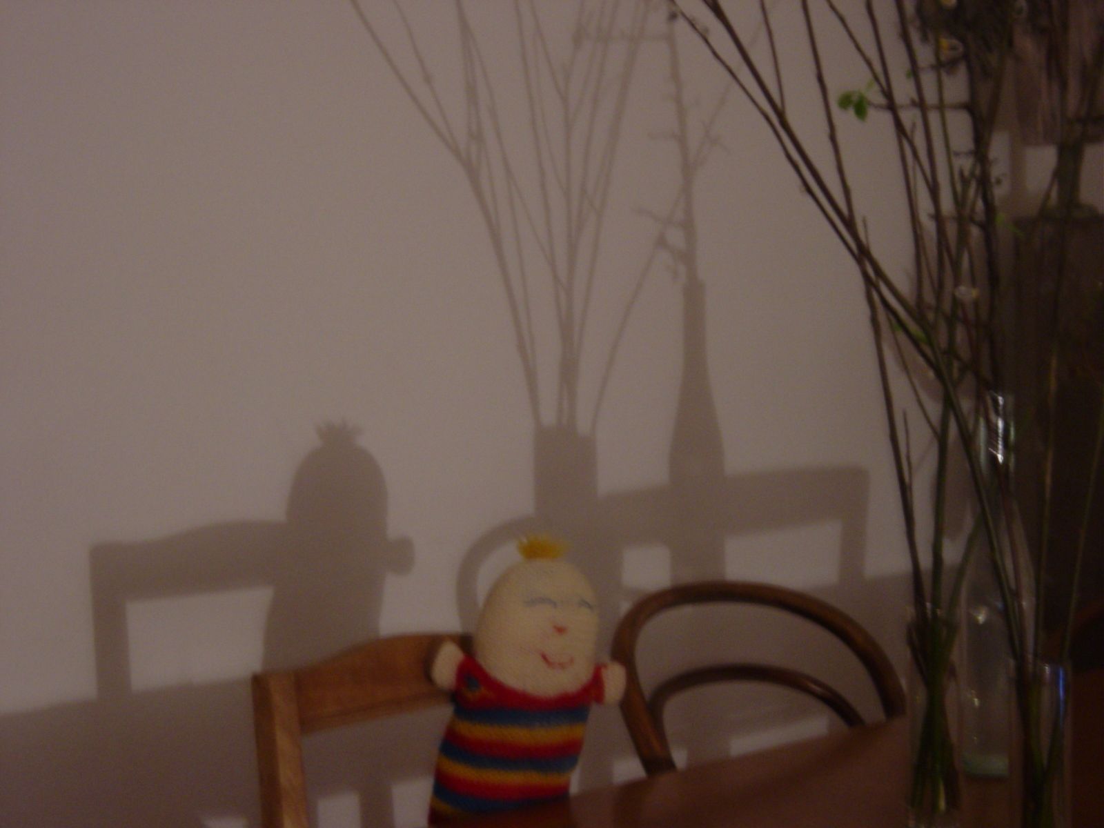 Salvisbergs In Den Usa