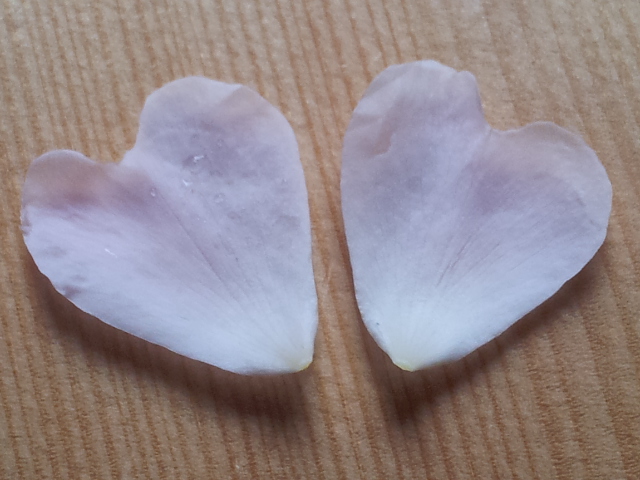 Nach Denk Geschichten September 2015