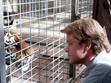 matt damon zoo bought mee benjamin tiger gets face movie still reel animals kelly foster