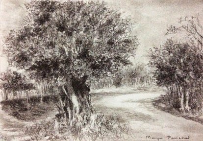 Charcoal sketching of tree at Kharghar Central park by Manju Panchal