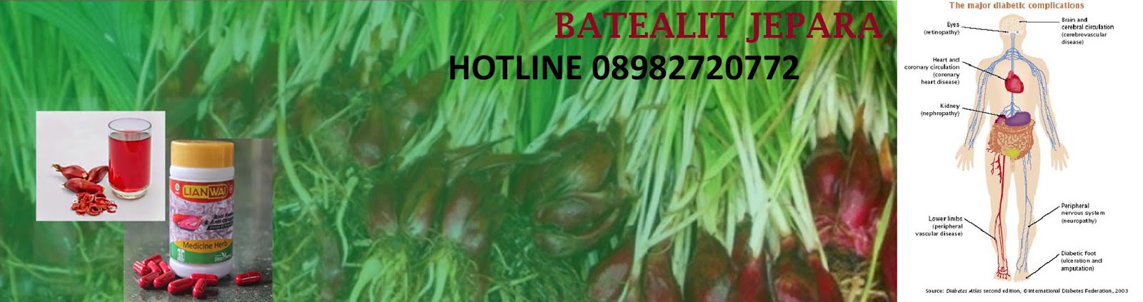 Jual Bawang Dayak