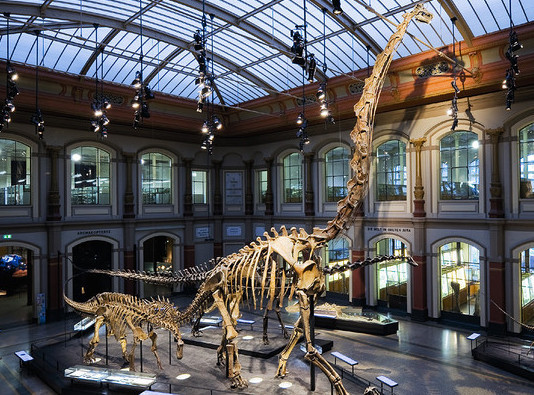 5 Museum Dinosaurus Paling Keren di Dunia Dinosaurus