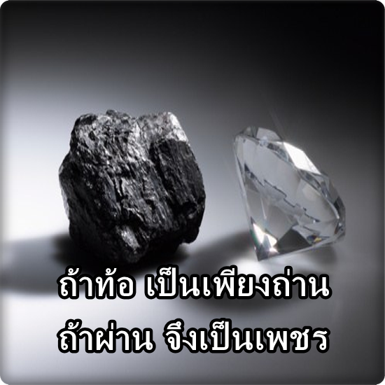 My Image 16