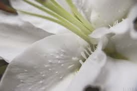 dejtingsajter andliga guider