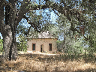 Abandoned Building Near Castoro Cellars Winery on Hwy 46 W. © B. Radisavljevic